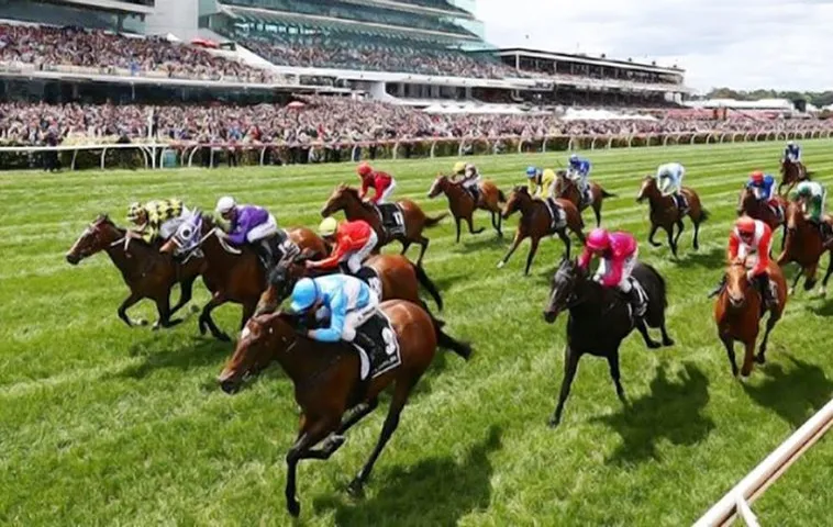 Khám Phá Thế Giới Cá Cược Đua Ngựa PG88 An Toàn Và Hấp Dẫn 1 Khám Phá Thế Giới Cá Cược Đua Ngựa PG88 An Toàn Và Hấp Dẫn