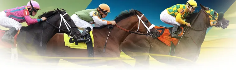 Khám Phá Thế Giới Cá Cược Đua Ngựa PG88 An Toàn Và Hấp Dẫn 2 Khám Phá Thế Giới Cá Cược Đua Ngựa PG88 An Toàn Và Hấp Dẫn